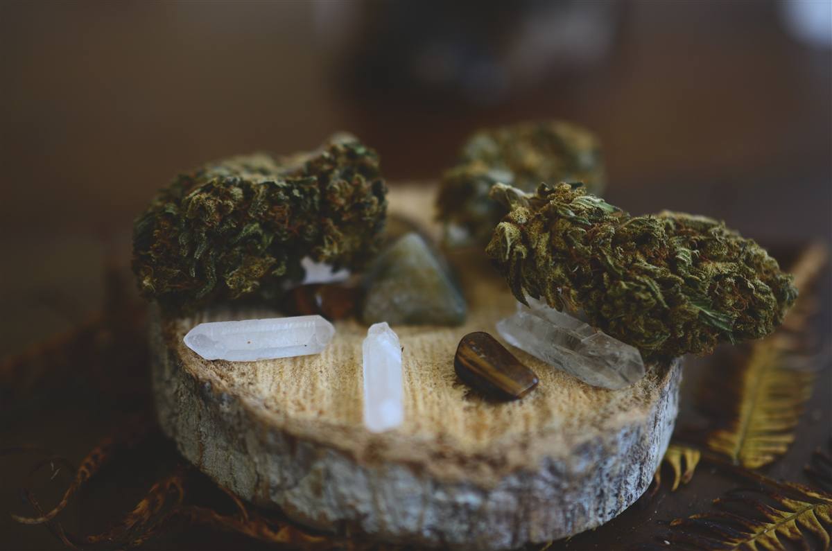 Isolado cristalino e biomassa processada de hemp