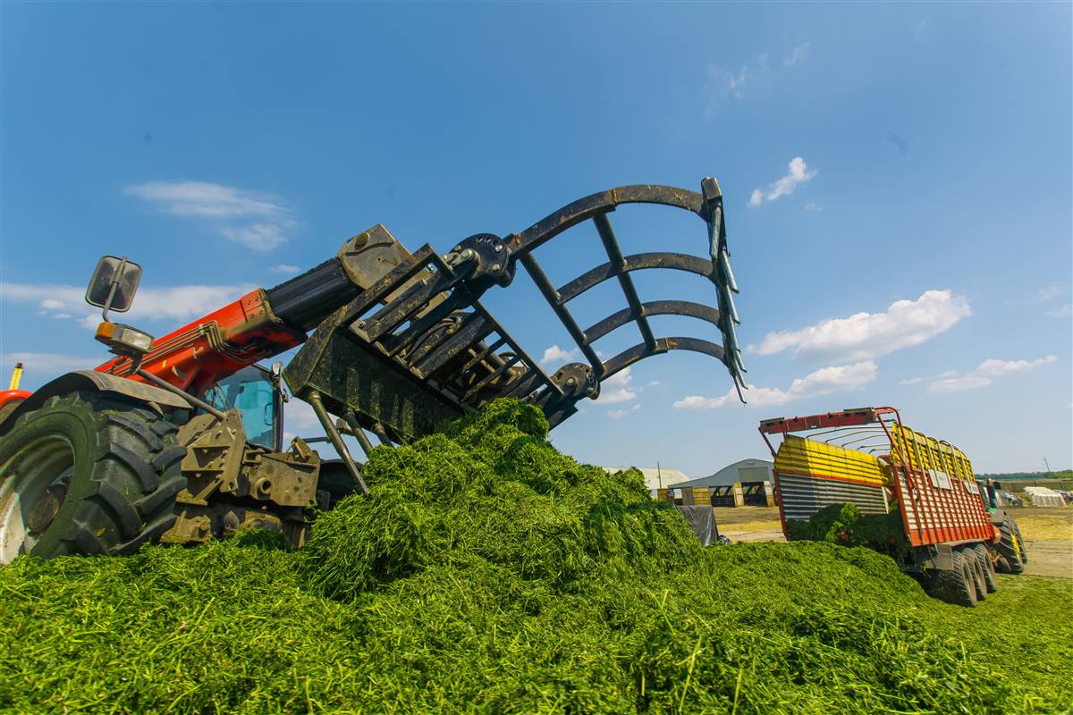 Máquina agrícola operando em colheita de larga escala